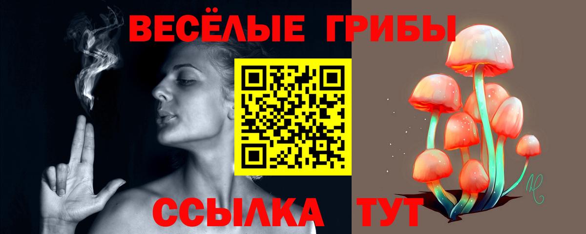 Псилоцибиновые грибы Psilocybe  Вход с VPN  Галлюциногенные грибы GOLDEN TEACHER  Дзержинск 
